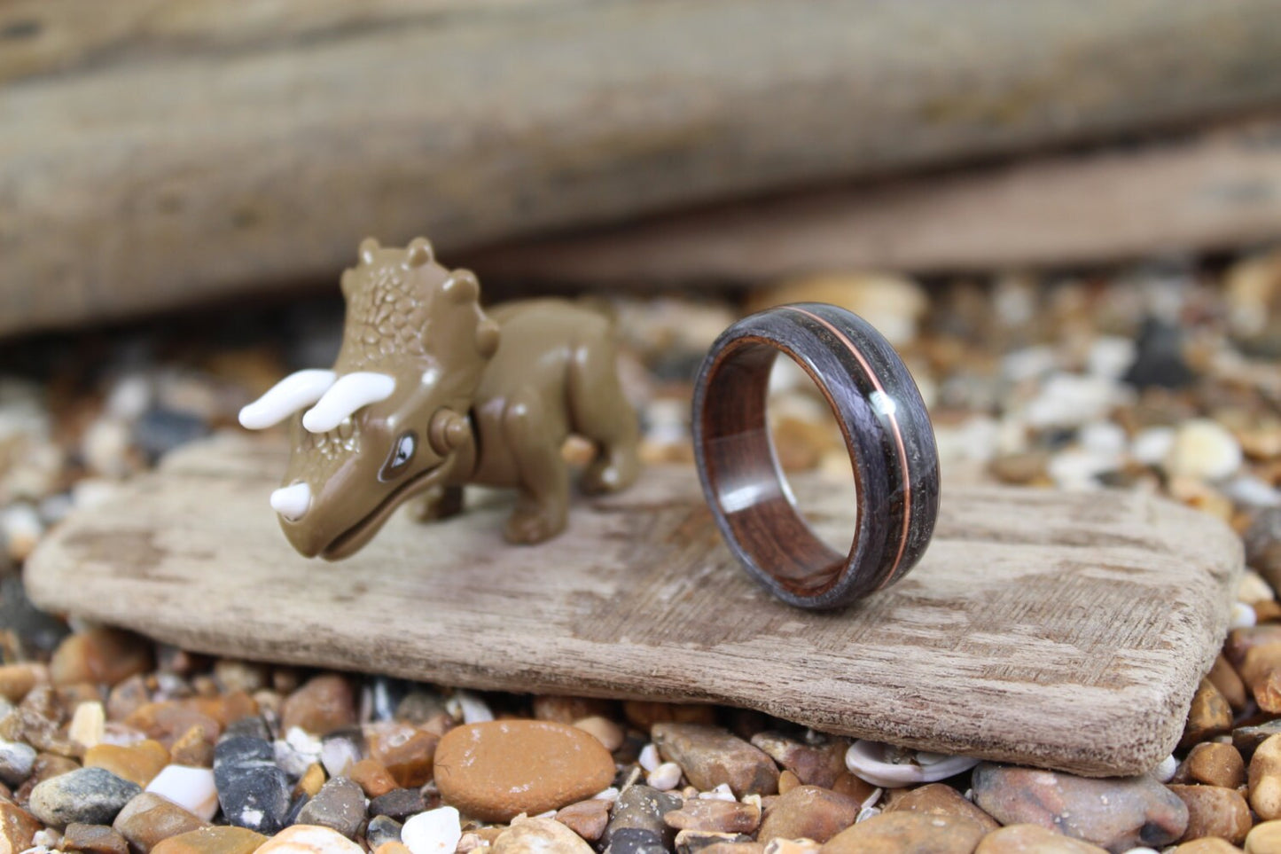 Dinosaur Bone, Meteorite and Copper Bent Wood Ring (Rosewood & Grey Maple)