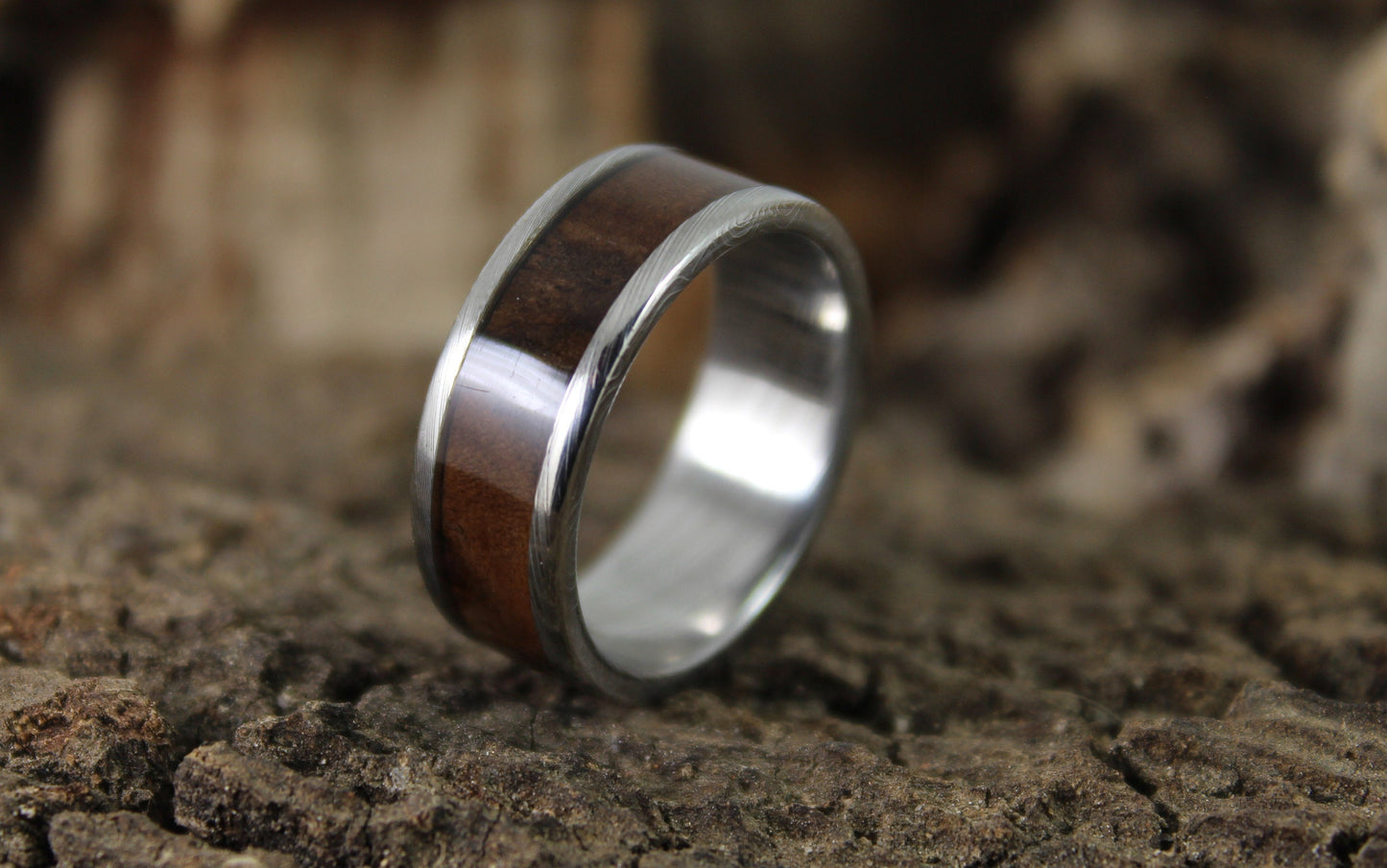 Damascus Steel Ring Walnut Burl Inlay