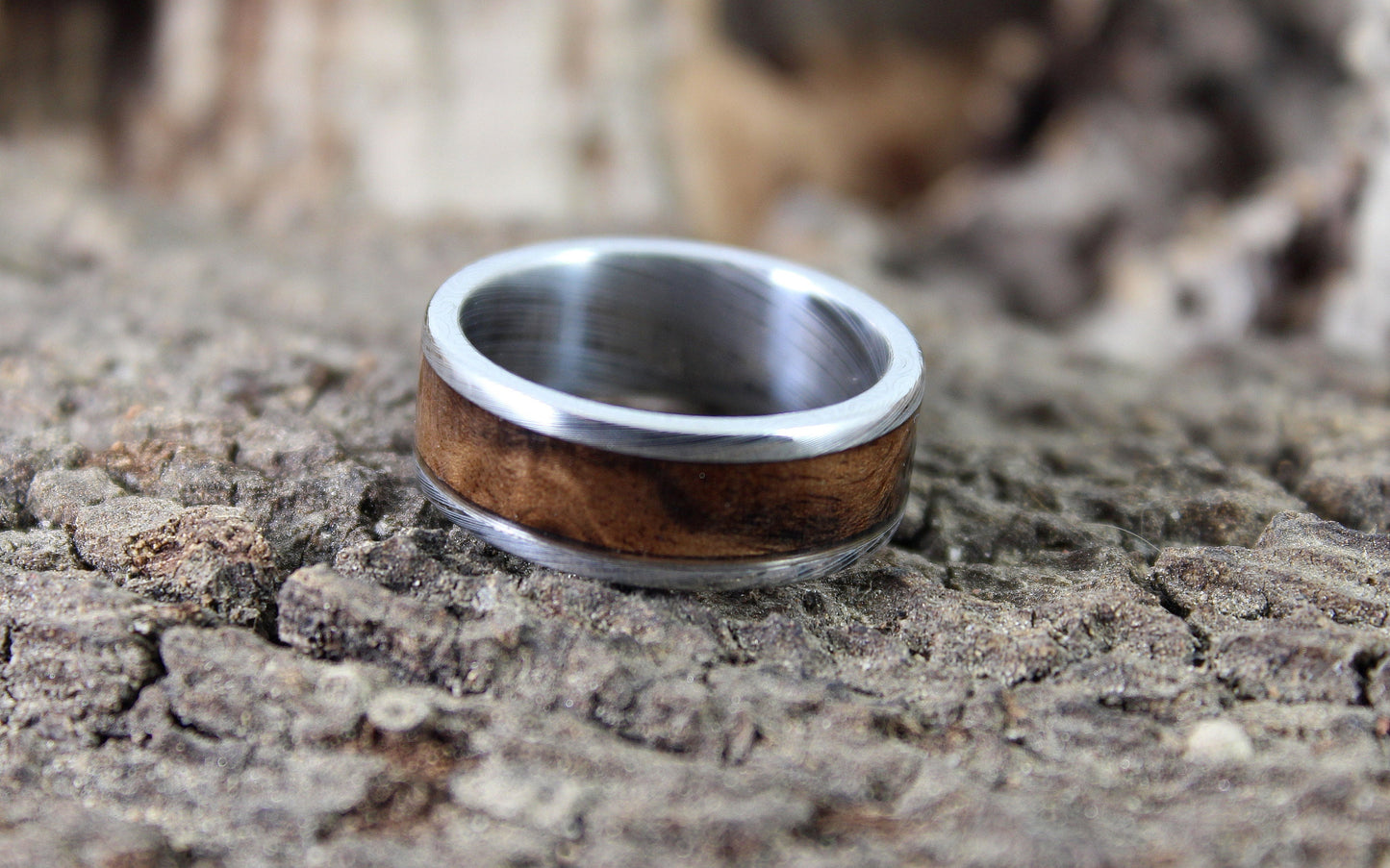 Damascus Steel Ring Walnut Burl Inlay