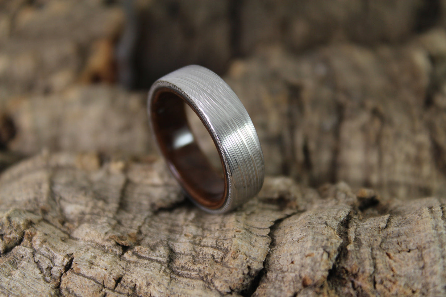 Damascus Steel Ring with Walnut Burl Inside