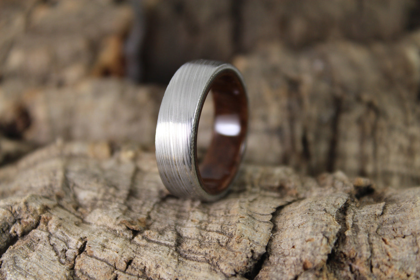 Damascus Steel Ring with Walnut Burl Inside