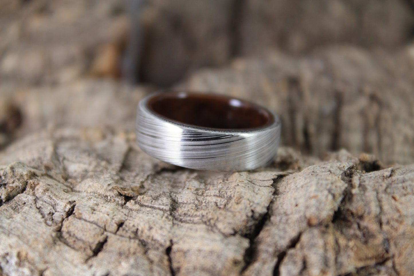 Damascus Steel Ring with Walnut Burl Inside