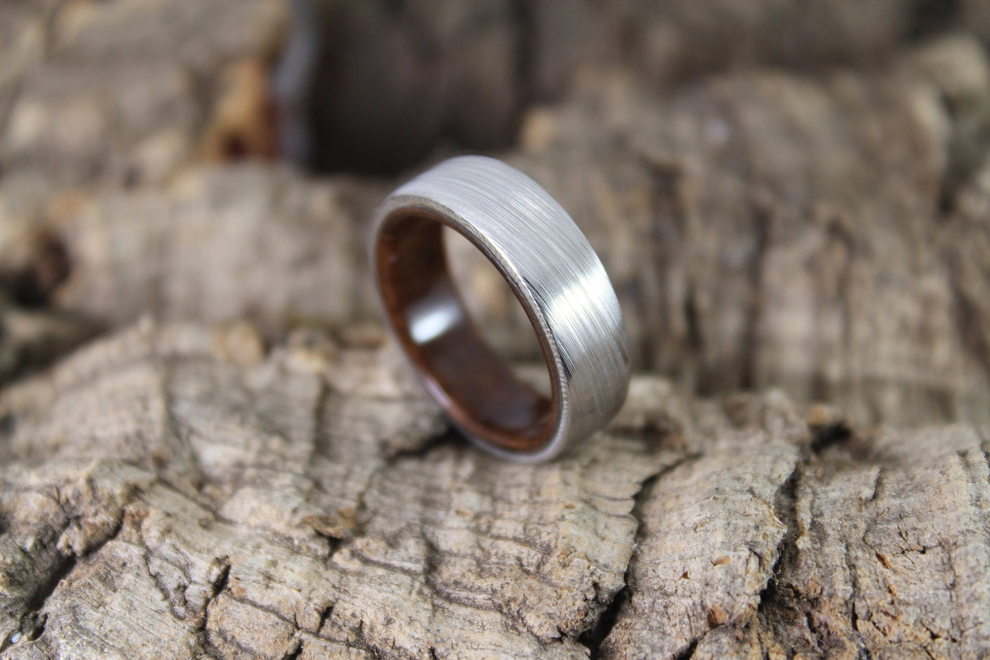 Damascus Steel Ring with Walnut Burl Inside