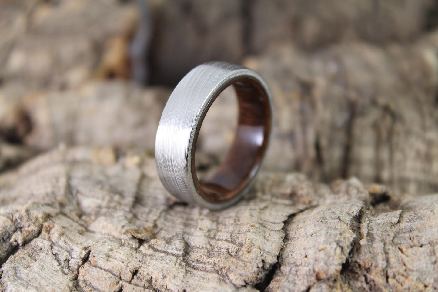 Damascus Steel Ring with Walnut Burl Inside