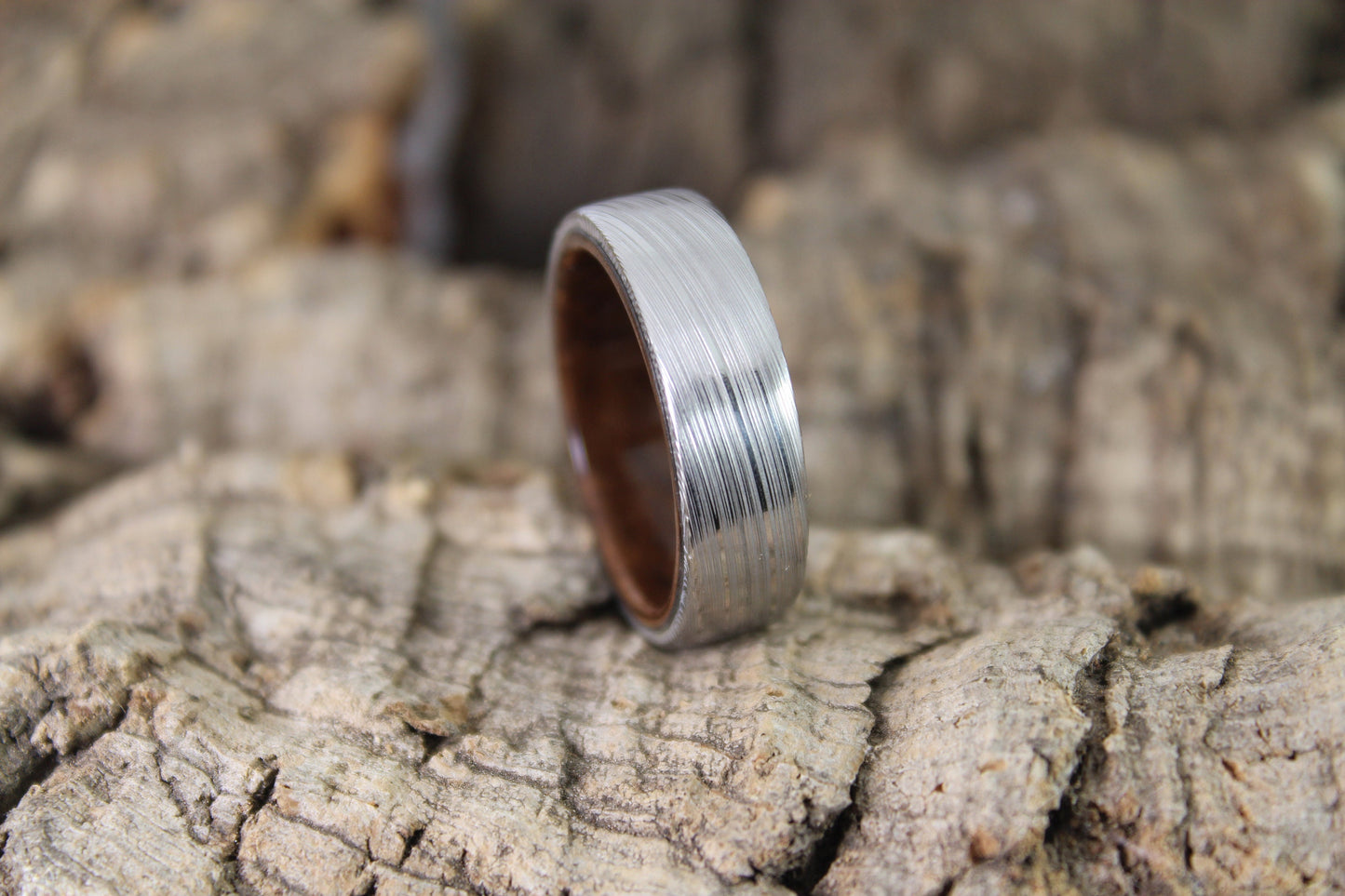 Damascus Steel Ring with Walnut Burl Inside